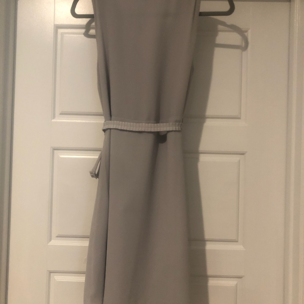 Naked Zebra Dress - Picture 4 of 11